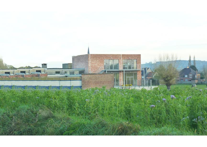 polyvalente Abele3